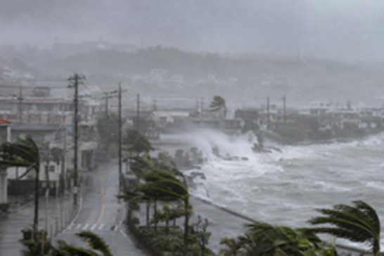 Japonya'yı Dolphin Tayfunu vurdu: 260 bin kişi tahliye edildi