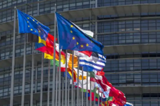 11 EU countries call for reform of veto system in foreign policy decisions