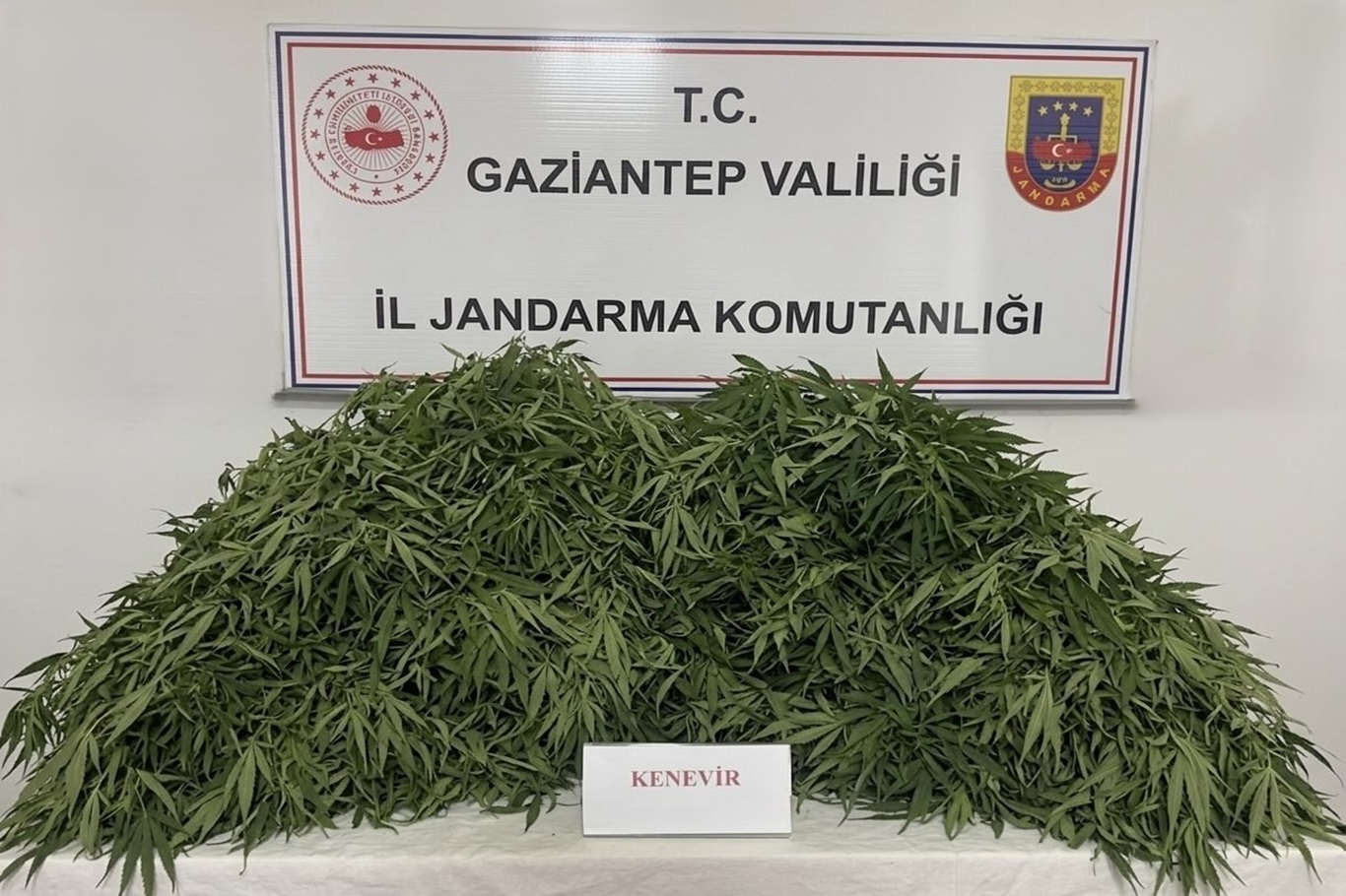 Gaziantep'te uyuşturucu ve kaçakçılık operasyonunda 166 şüpheli yakalandı