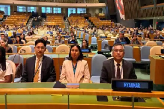 Myanmar yönetimi, BM temsilcisinin statüsünü iptal edip hakkında işlem başlattı