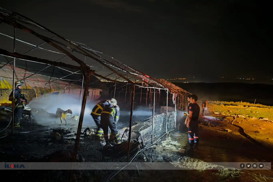 Li Êlihê di şewata ambarê de herî kêm 80 pez û bizin telef bûn