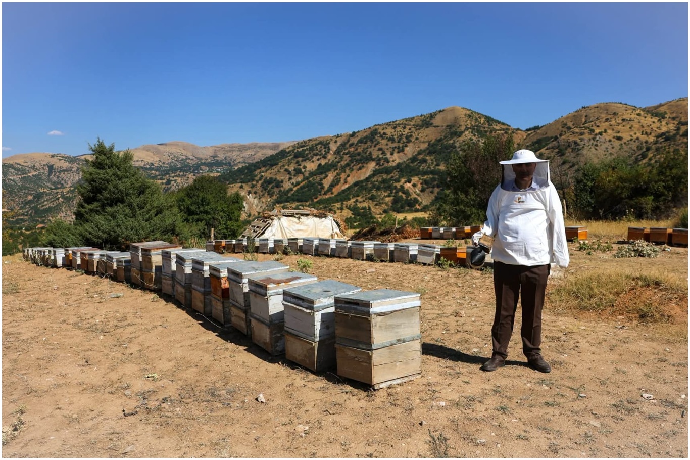 Toprak kovanlarda yaşatılan 25 yıllık bal üretimi