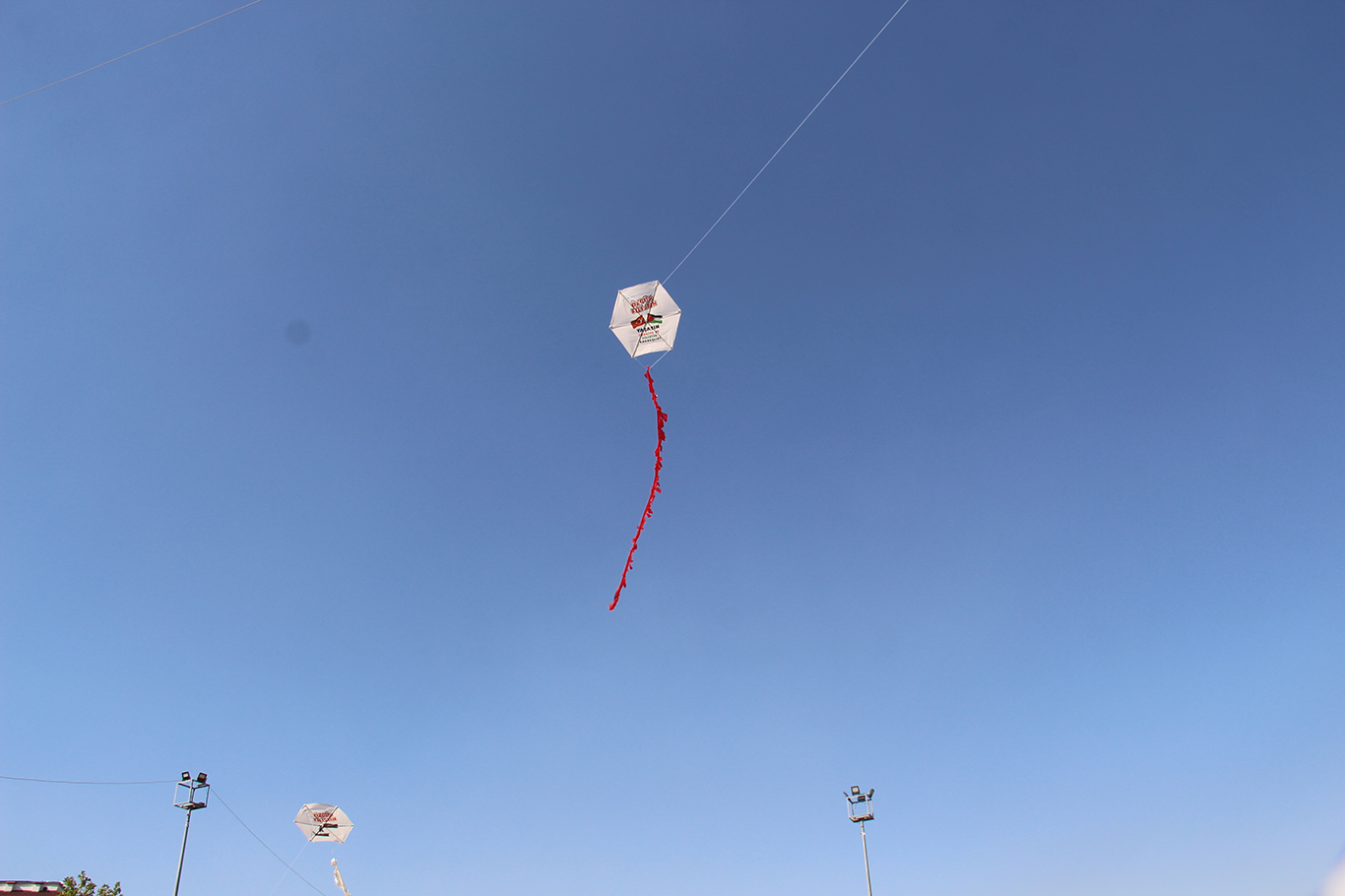 Hundreds of children in Diyarbakır fly kites in solidarity with Gaza