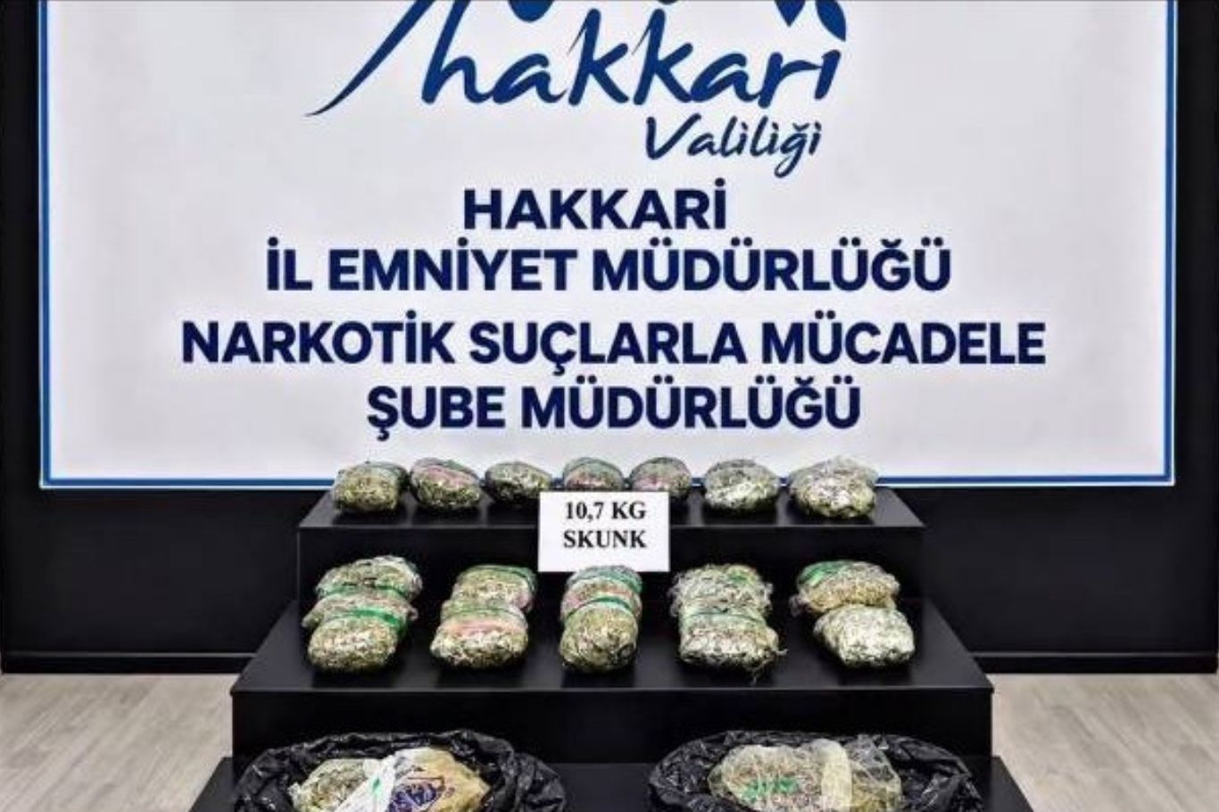 Hakkari'de 10 kilogram skunk ele geçirildi: 9 tutuklama