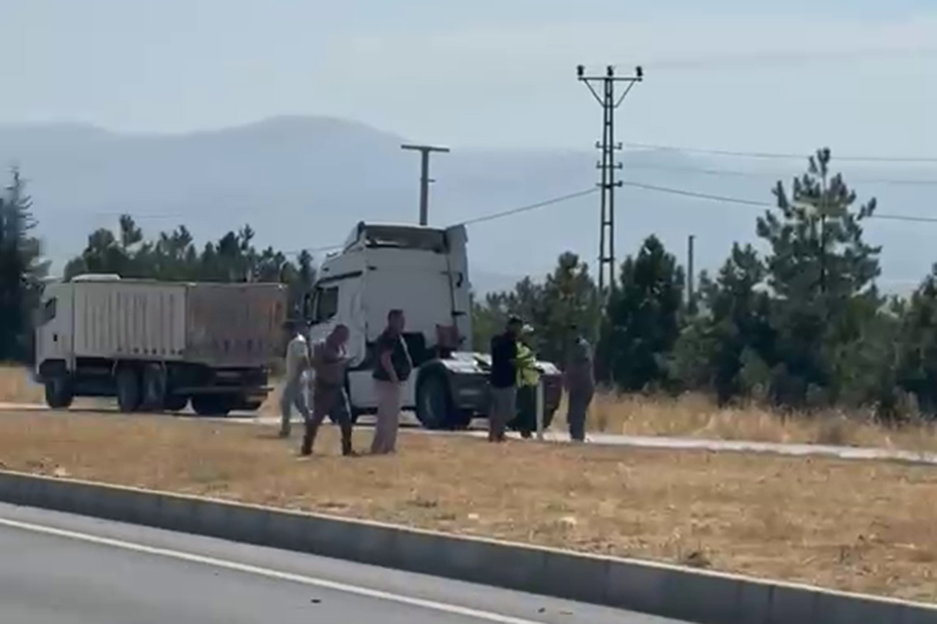 Malatya'da seyir halindeki tırın dorsesinde yangın çıktı
