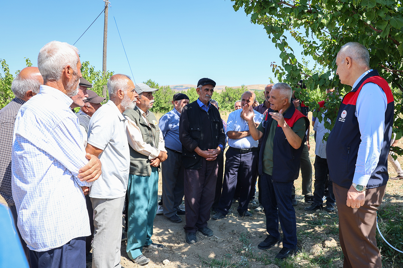 Malatya'da kayısı üreticilerine uygulamalı budama ve gübreleme eğitimi