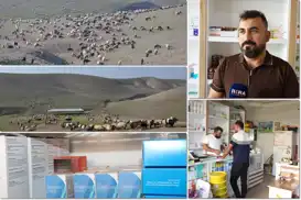 Uzmanlardan meradan dönen hayvanlara aşı ve parazit aşı uygulaması uyarısı