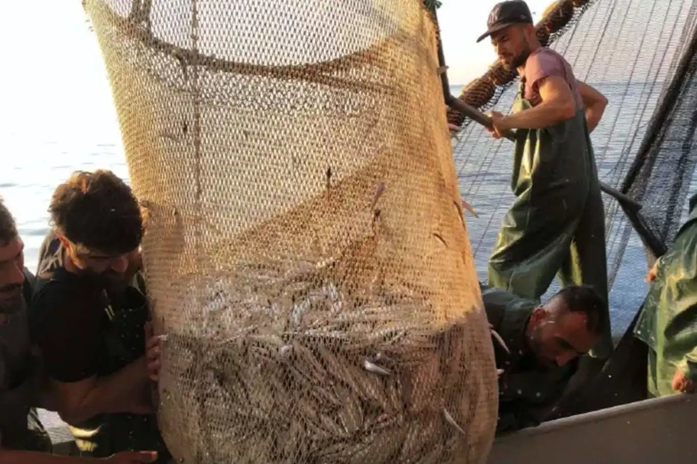 İzmir’de balık sezonu bereketli başladı: Tezgâhlarda fiyatlar geriledi