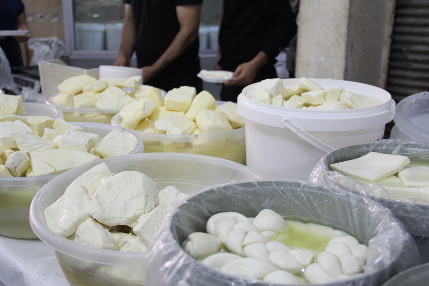Peynir fiyatları cep yakıyor: Koyun peyniri 650 liraya ulaştı