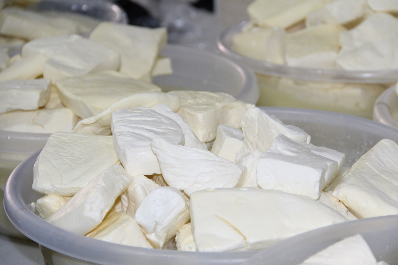 Peynir fiyatları cep yakıyor: Koyun peyniri 650 liraya ulaştı