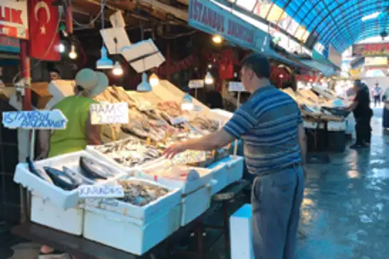 Mersin'de balık sezonu açıldı