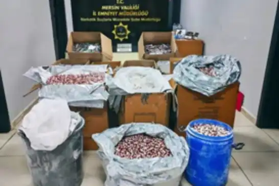 Mersin'de 298 bin 182 sentetik ecza hapı ele geçirildi