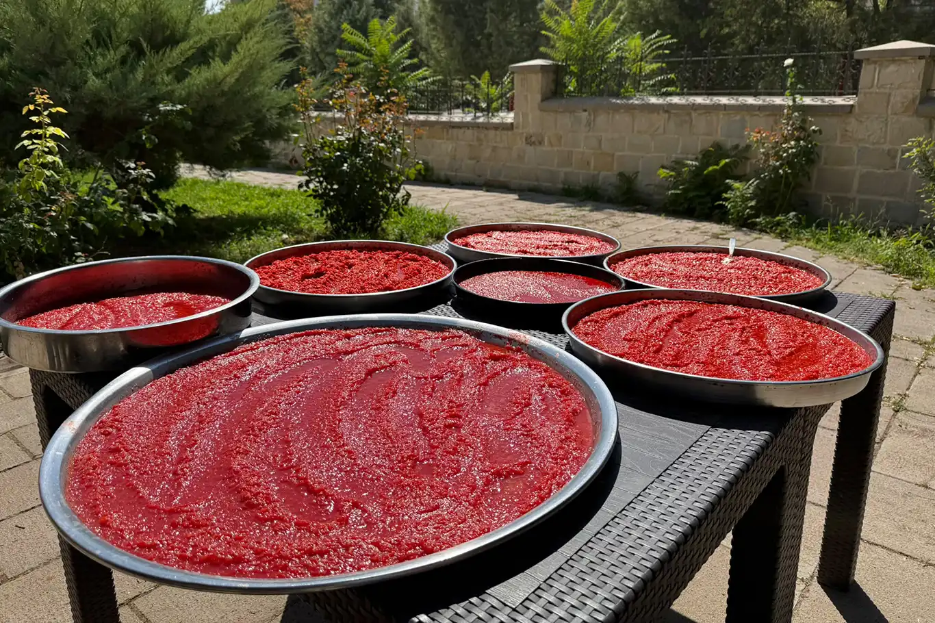 Malatya'da yazın bereketi kış sofraları için hazırlanıyor