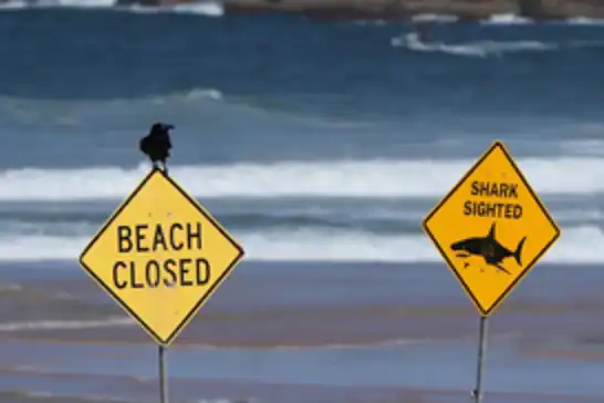 Shark kills swimmer at beach near Perth in Australia