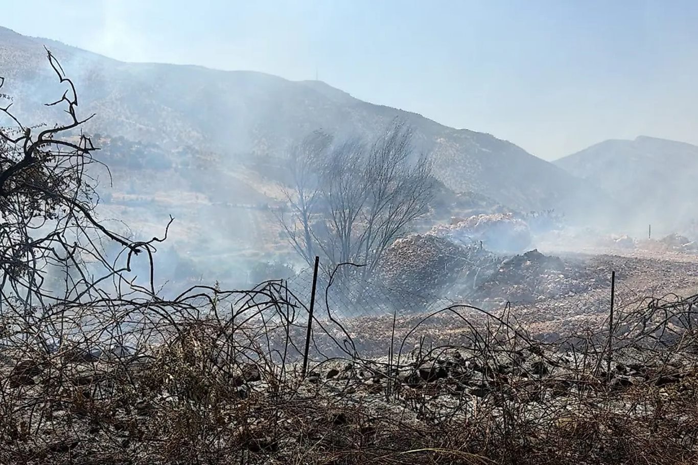 Siirt’te Zarova’da yangın: Ekipler alevlere müdahale ediyor