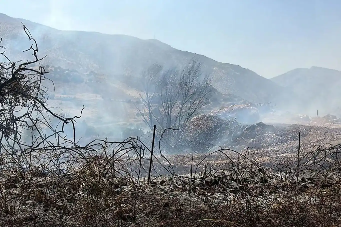 Siirt’te Zarova’da yangın: Ekipler alevlere müdahale ediyor