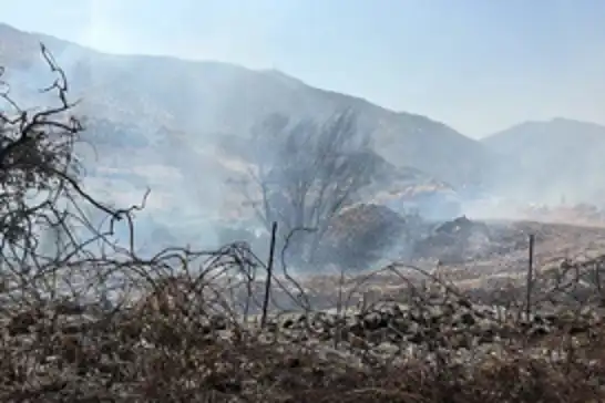 Siirt’te Zarova’da yangın: Ekipler alevlere müdahale ediyor