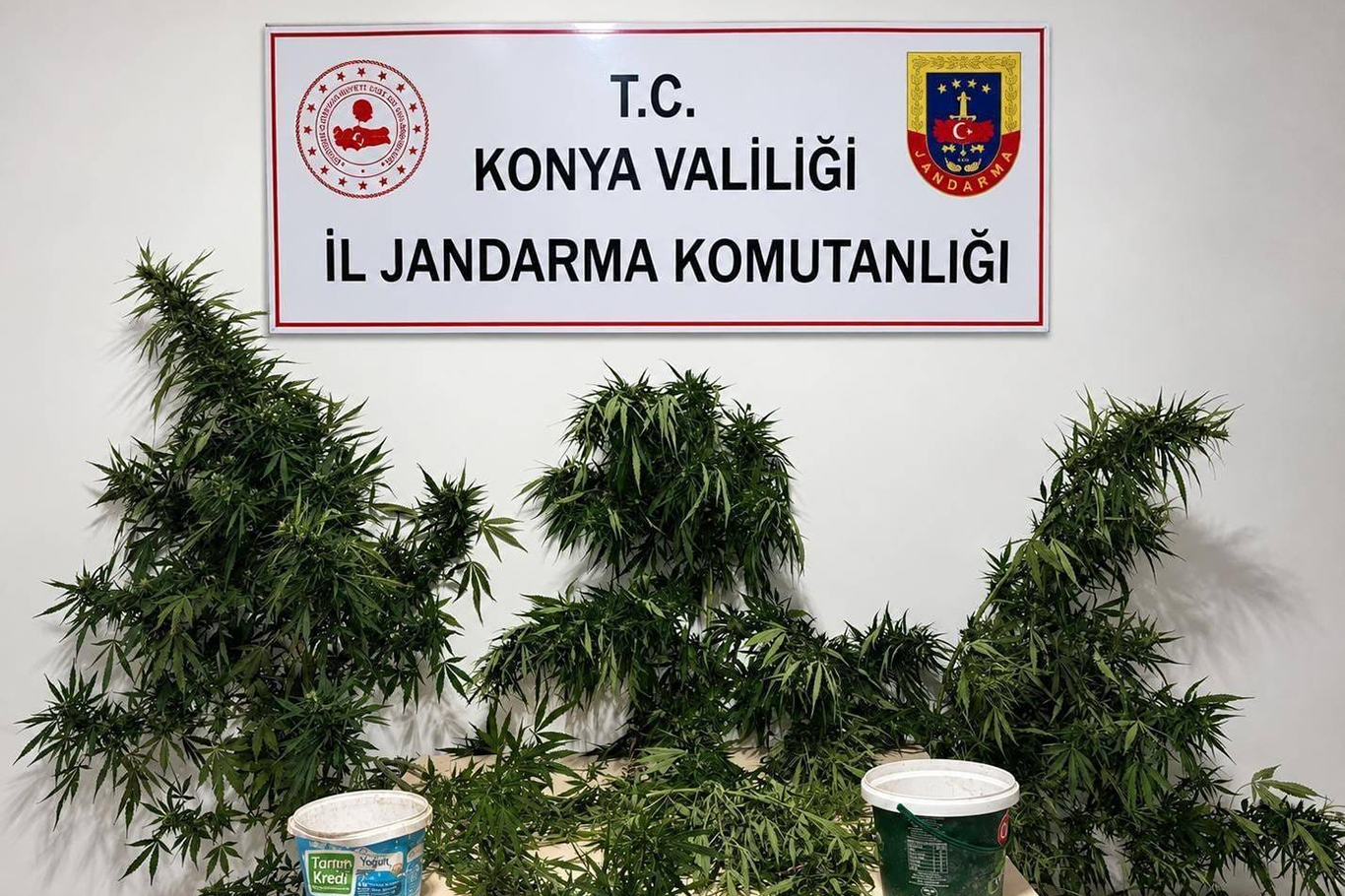 Konya’da uyuşturucu operasyonu: 6’sı tutuklandı