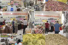 Havaların serinlemesiyle beraber aktarlarda hareketlilik başladı