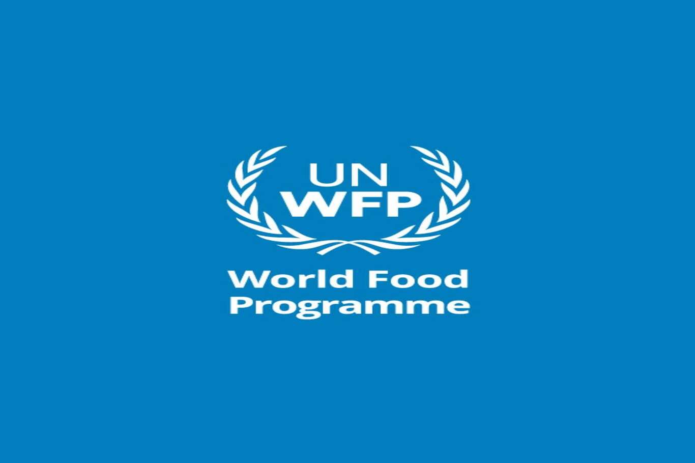 WFP warns of deepening food insecurity in West Bank and Gaza as aid funding falls