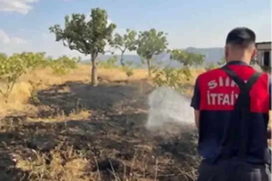 Siirt’te bağ yangınında 33 fıstık ağacı ile onlarca meyve ağacı zarar gördü