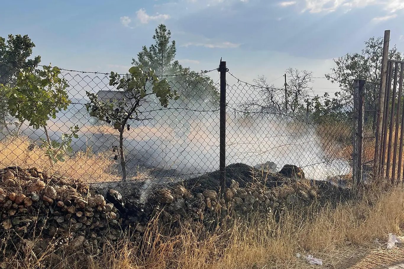 Siirt’te bağ yangınında 33 fıstık ağacı ile onlarca meyve ağacı zarar gördü