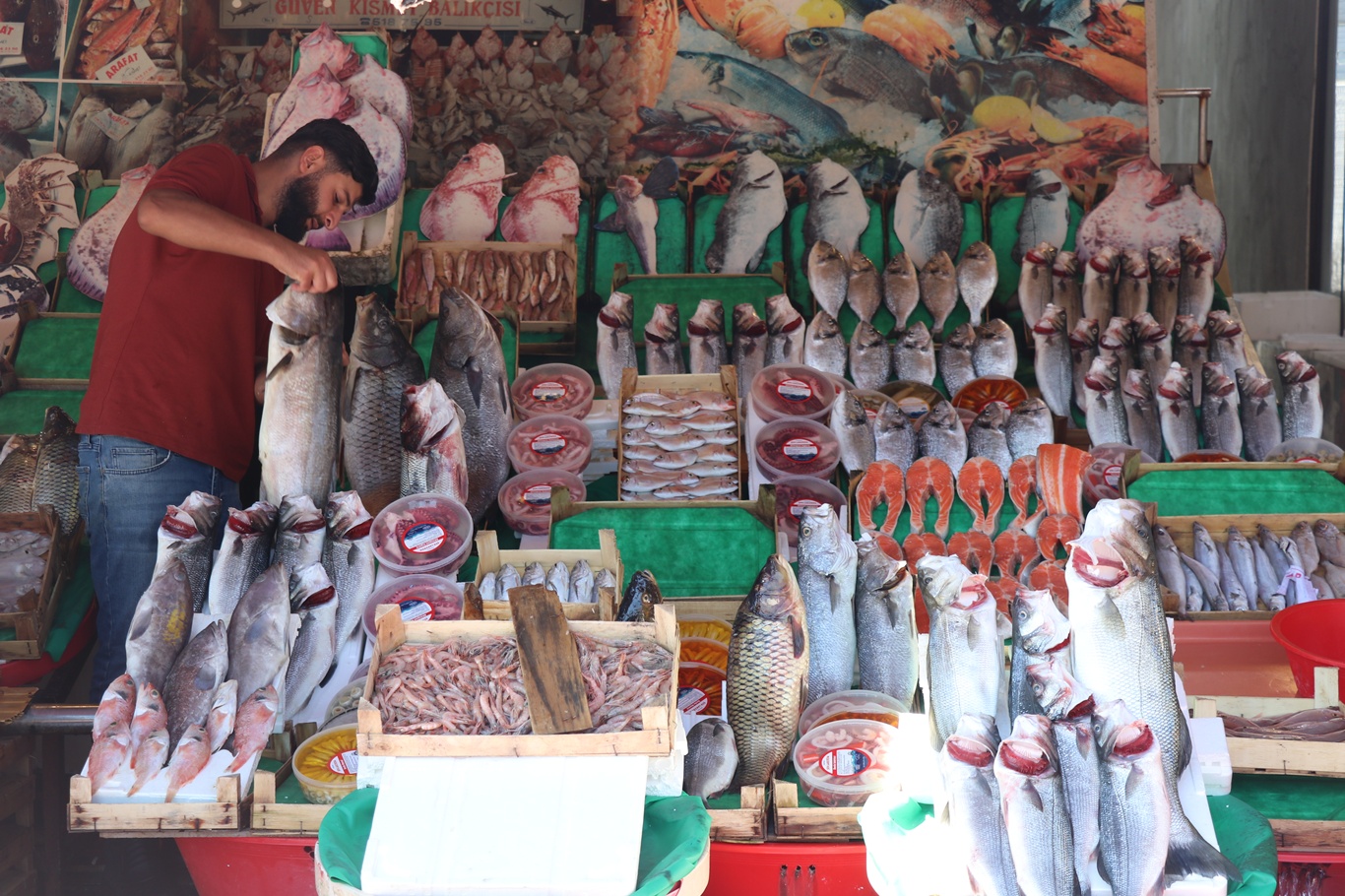 İstanbul'da balık sezonu bereketli başladı