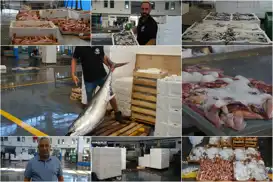 İzmir Balık Hali Dernek Başkanı Çakan: Yeni sezonda beklentimiz çok yüksek