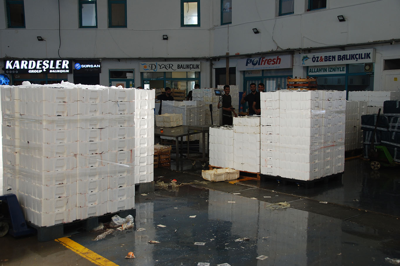 İzmir Balık Hali Dernek Başkanı Çakan: Yeni sezonda beklentimiz çok yüksek