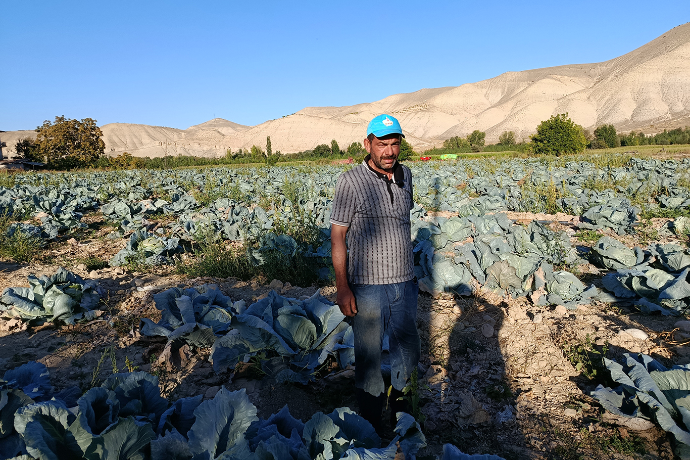 Malatya'da üretiliyor, Türkiye'nin dört bir yanına gönderiliyor