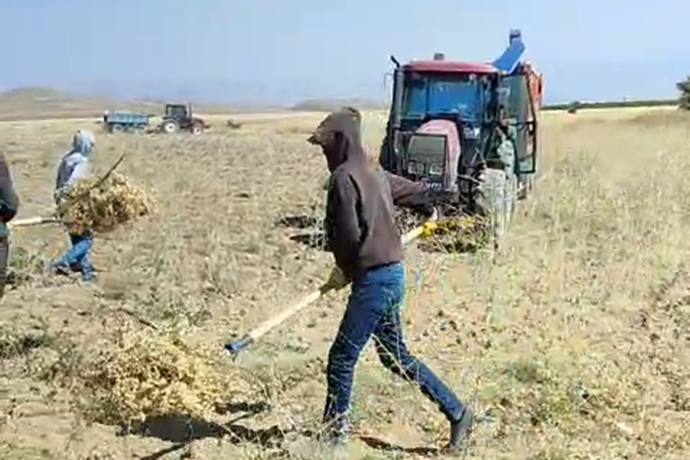 Artan maliyetlerden dert yanan üreticiler: Bu toprakları bırakalım mı?