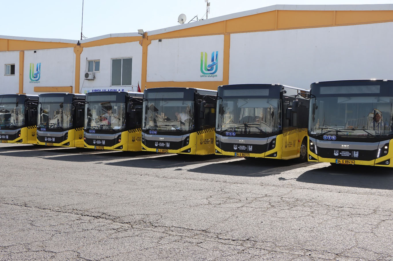 Şanlıurfa'da toplu ulaşım filosuna 50 yeni otobüs