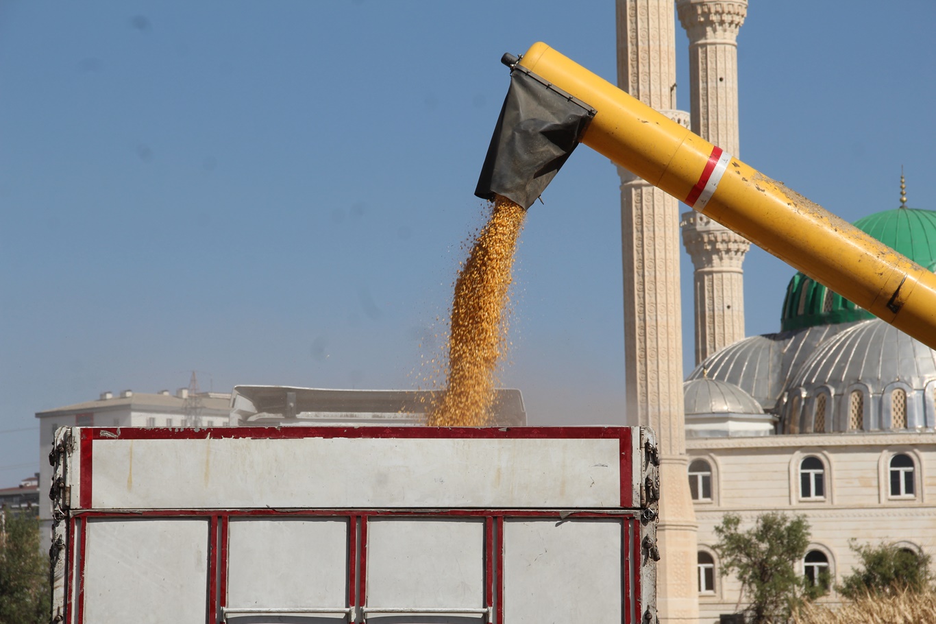 Mısır üreticisinin hasat mesaisi maliyet ve fiyat baskısıyla başladı