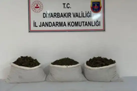 Li Dîyarbekirê 253,752 nebatên esrarê hatin desteserkirin: Li dijî 25 şikdaran tedbîrên qanûnî hatin girtin