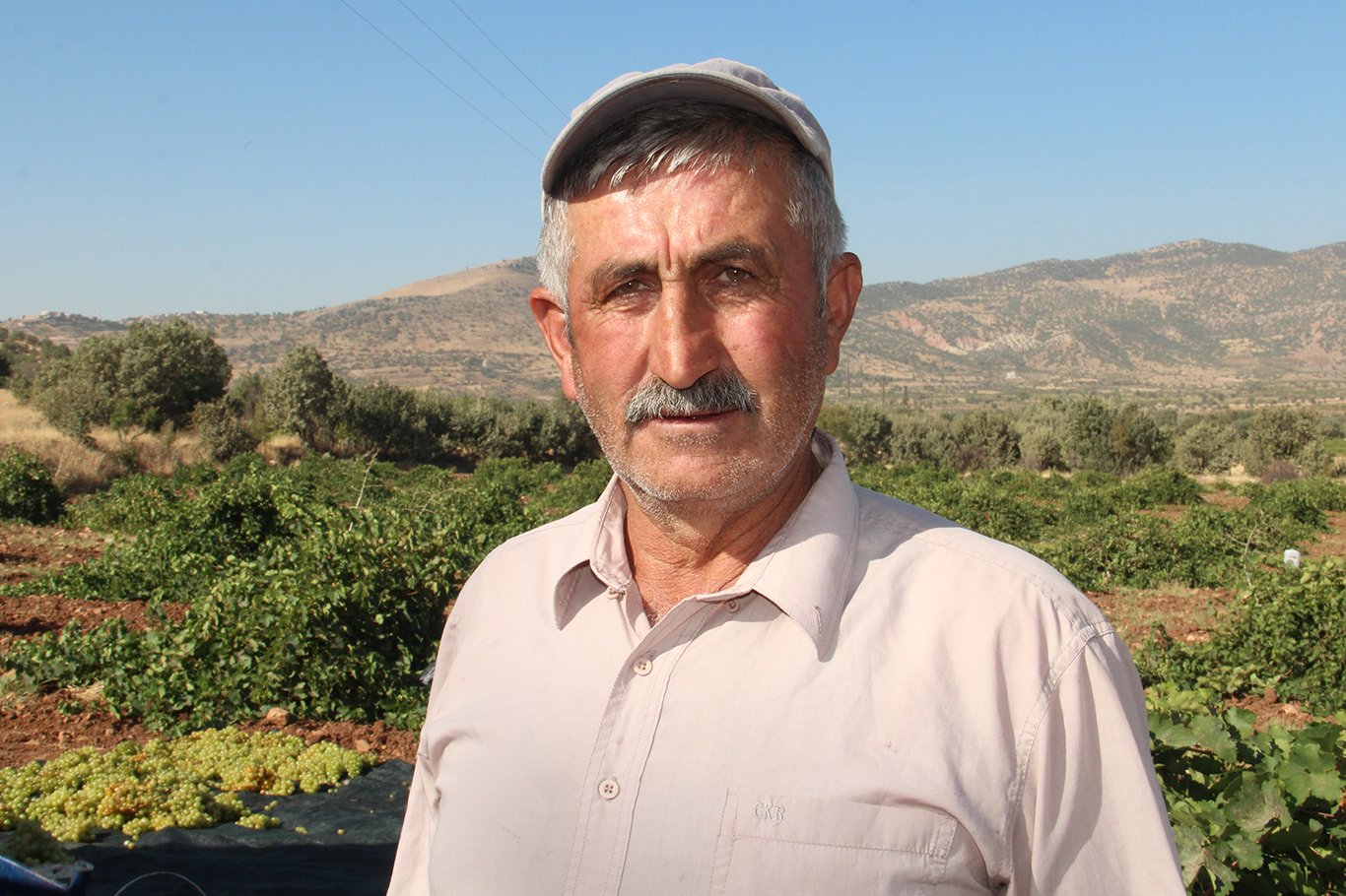 Hasan Güneş