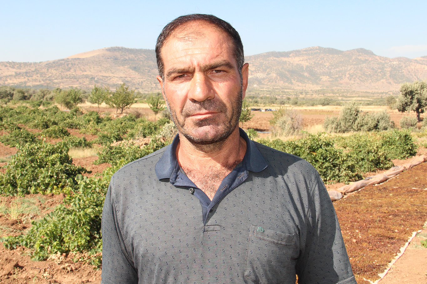 Reşit Aslan