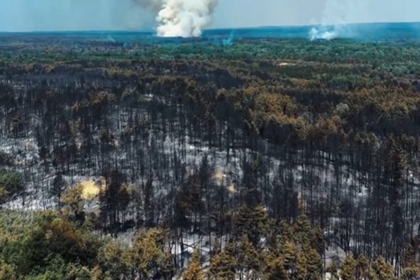 Serbia extinguishes wildfire that burned for 52 days