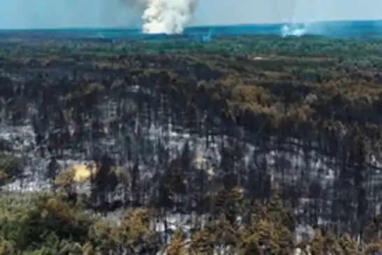 Serbia extinguishes wildfire that burned for 52 days
