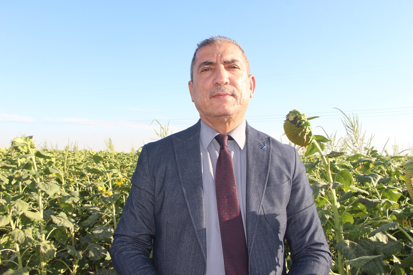 Prof. Dr. Yusuf Doğan