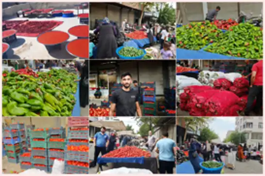 Şanlıurfa'da isot telaşı başladı: Damlar kırmızıya büründü
