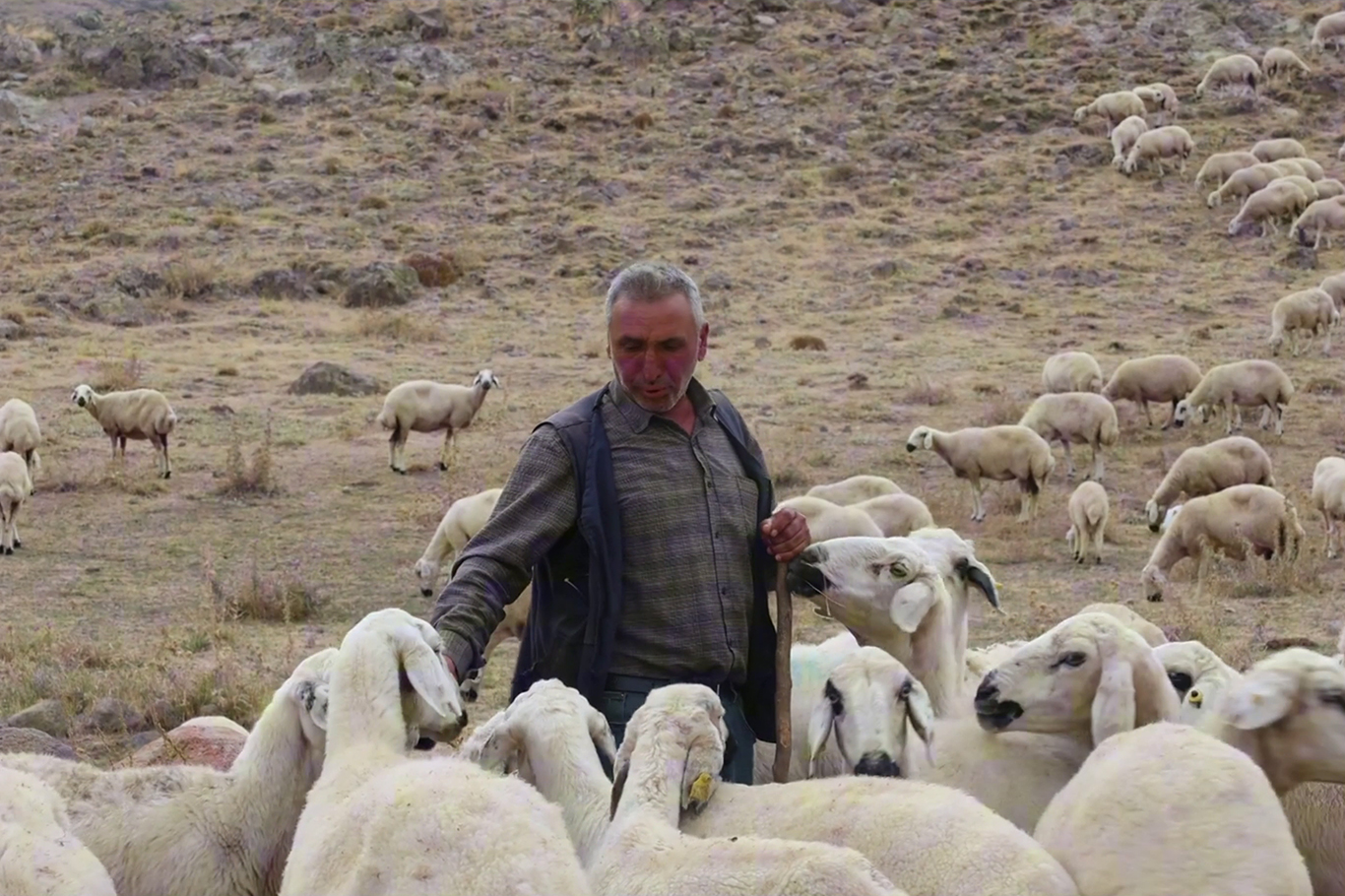 Yaylalarda kıl çadırdan konteyner eve uzanan değişim
