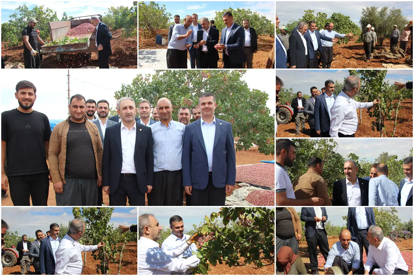 HÜDA PAR'dan fıstık üreticisine destek, hükûmete çağrı