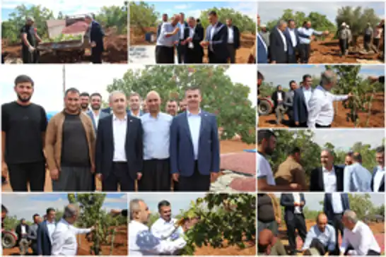 HÜDA PAR'dan fıstık üreticisine destek, hükûmete çağrı