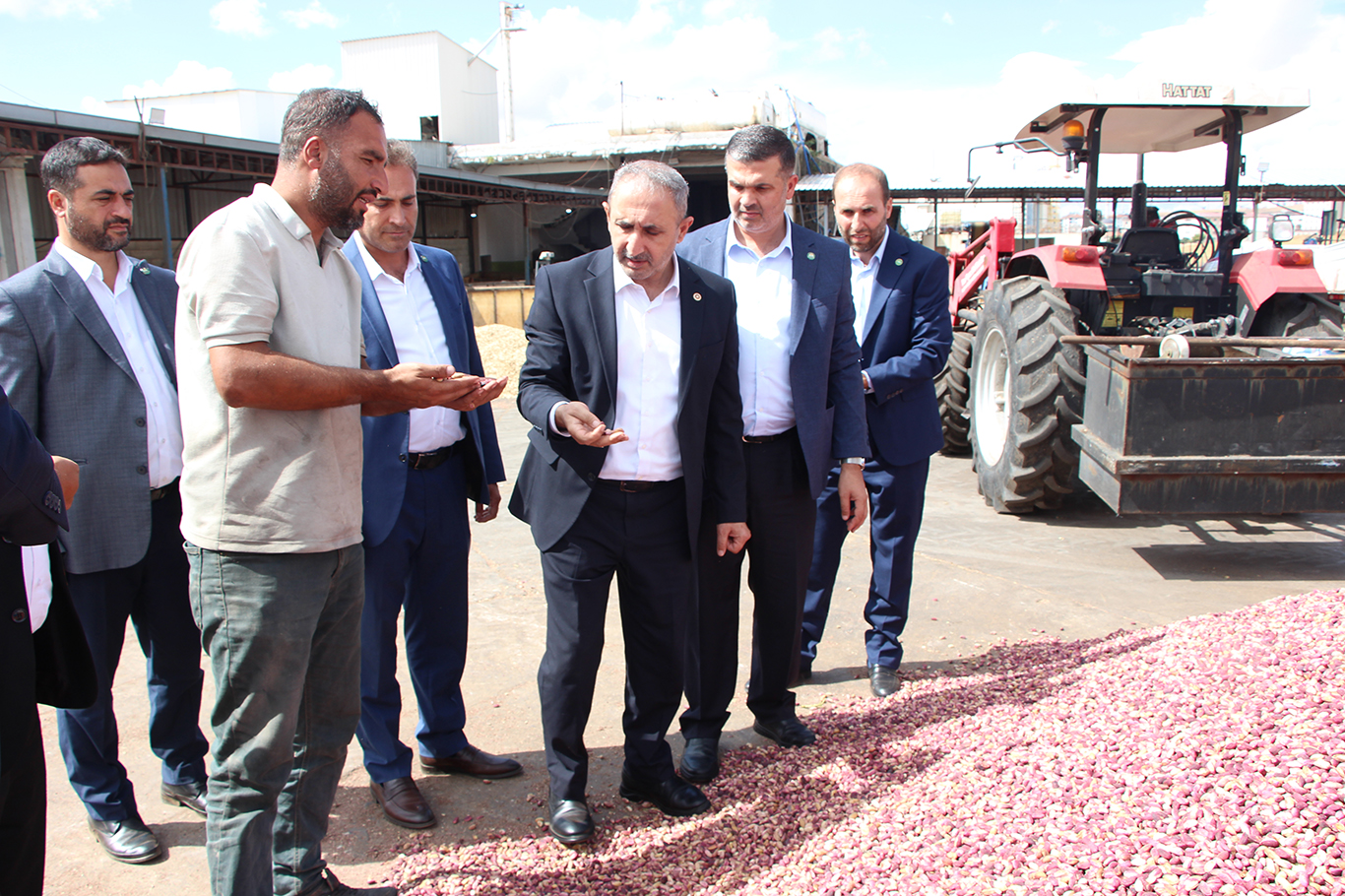 Milletvekili Demir: Fıstık piyasasının düzenleme ve denetleme mekanizmasına ihtiyacı var
