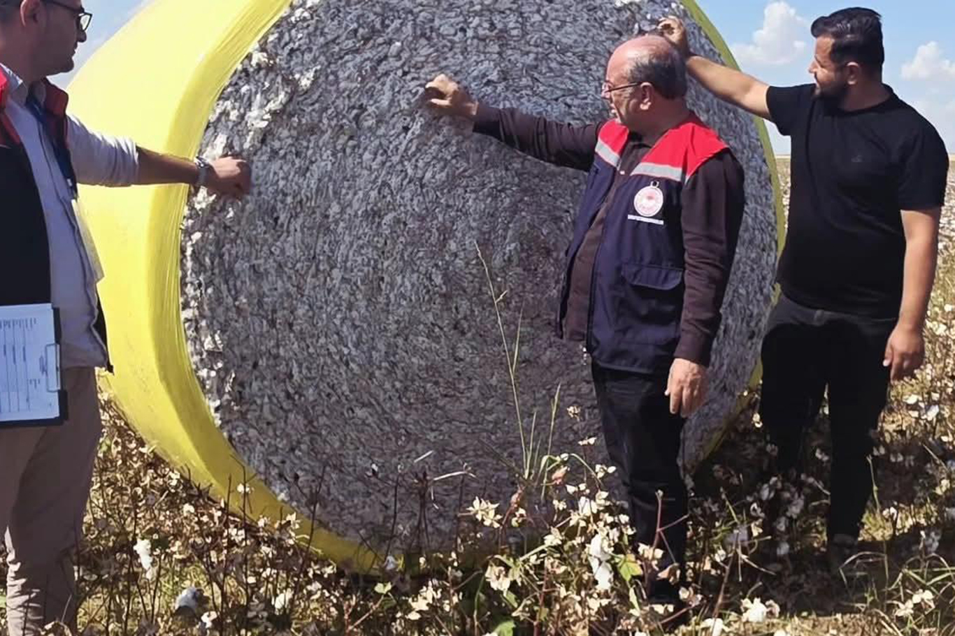 SİLOPİ’DE PAMUK HASADI BAŞLADI