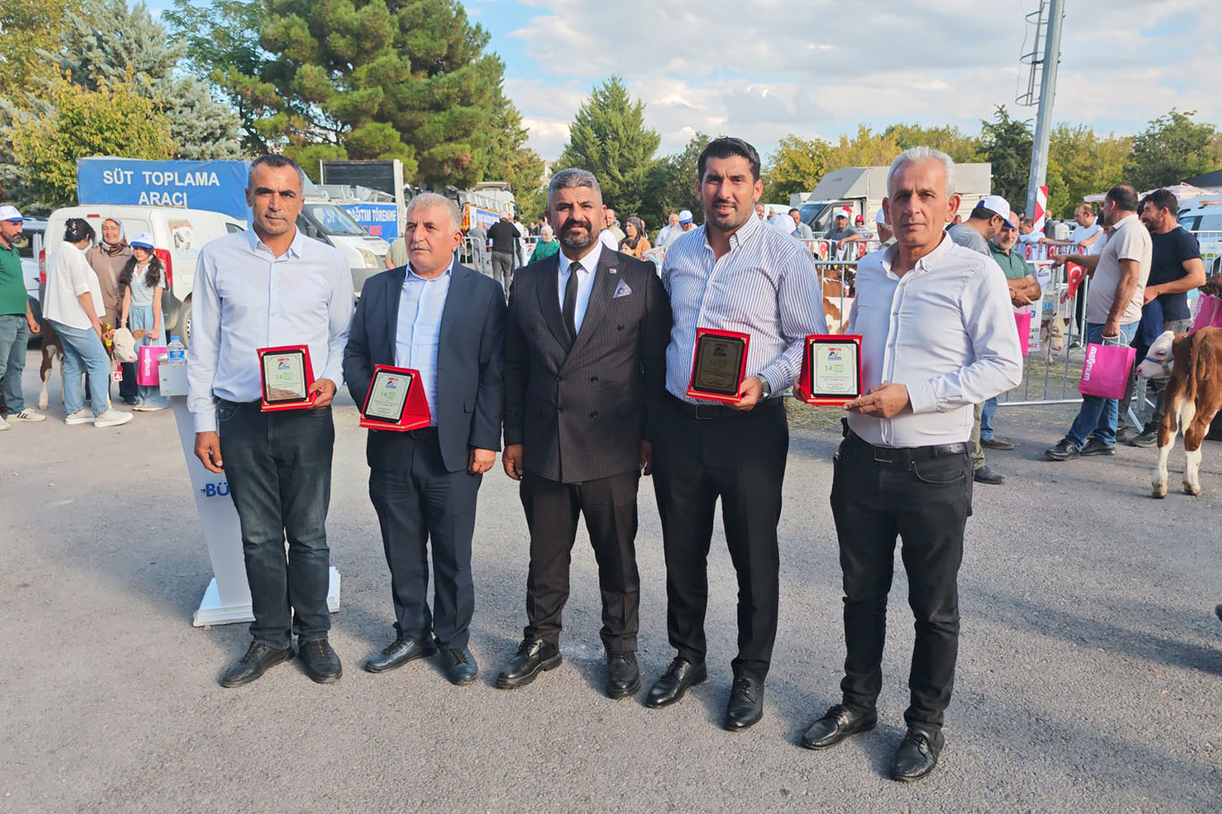 Malatya'da "En Güzel Buzağı" yarışması düzenlendi