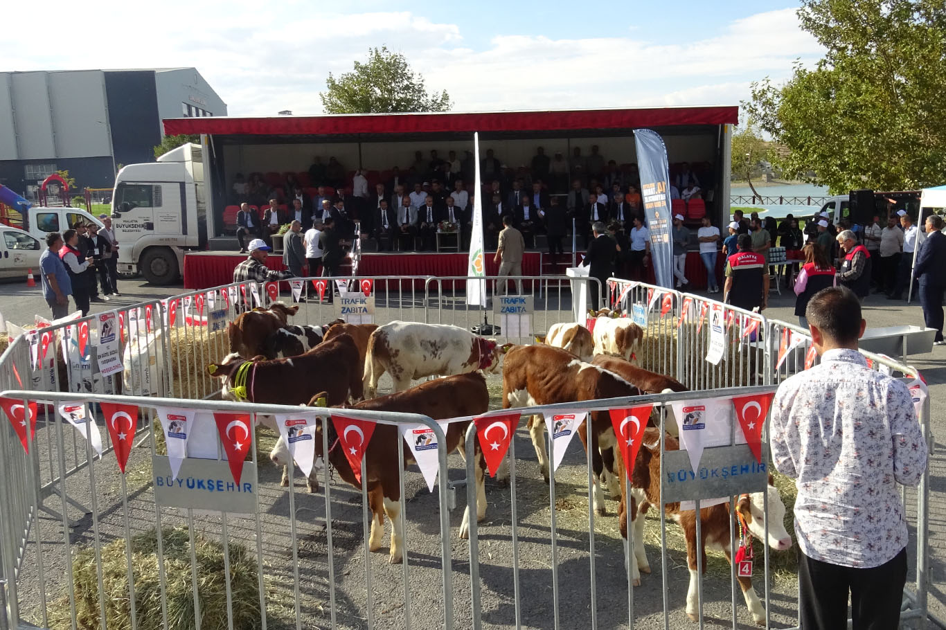 Malatya'da "En Güzel Buzağı" yarışması düzenlendi