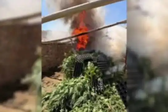Li Dîyarbekirê 5 hezar û 400 şitil esrar hatin bidestxistin