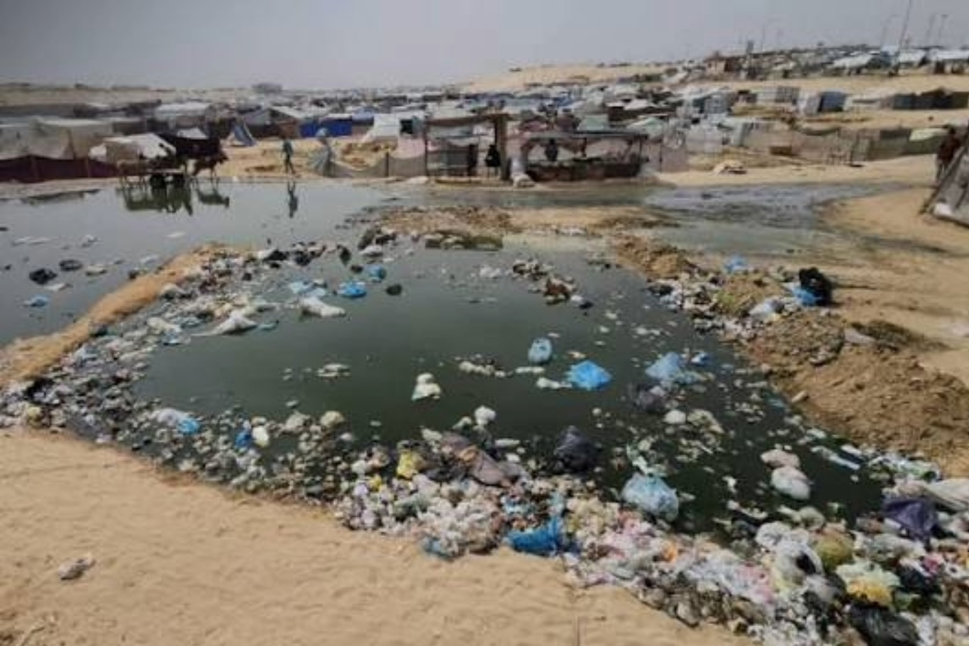 نصف سكان إسرائيل يشربون من مياه ملوثة بمياه مجاري غزة