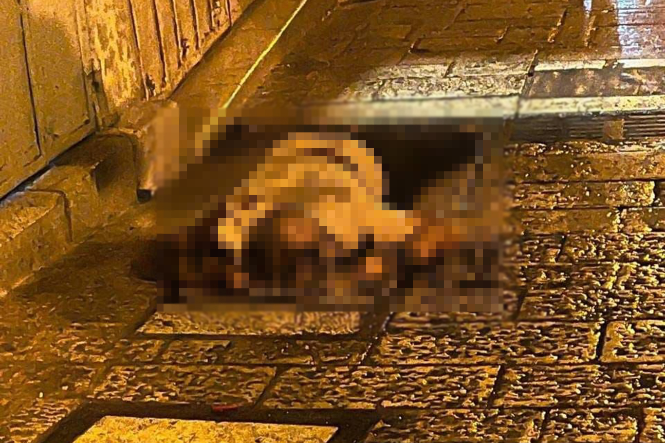 Kudüs'te işgal polisi bir Filistinliyi şehit etti